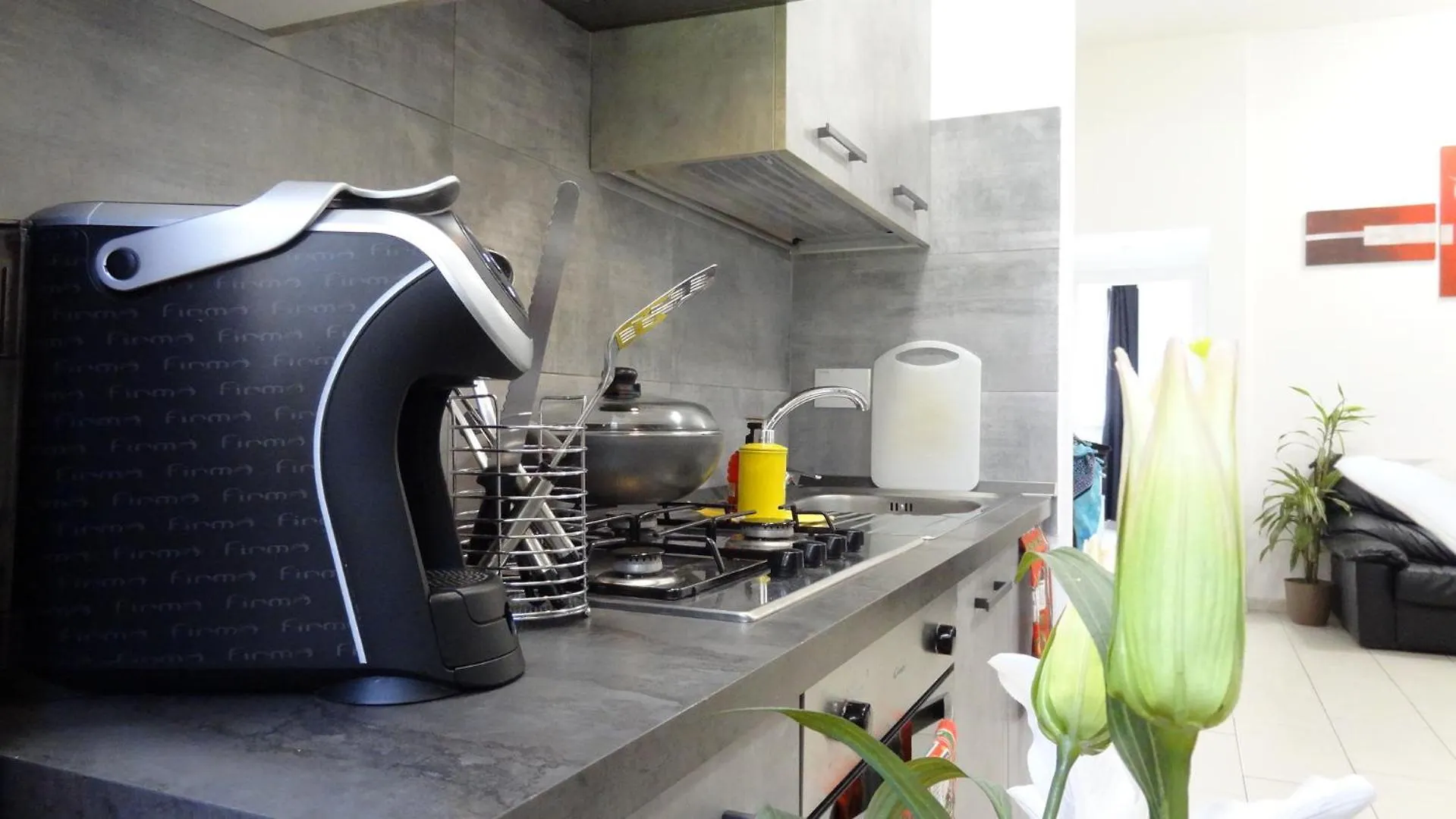 Apartament Fco Airport - A Casa Di Gisa Fiumicino Włochy